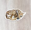 Fawn Sticker