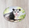 Opossum Sticker