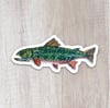 Brook Trout Sticker