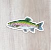 Rainbow Trout Sticker