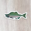 Salmon Sticker