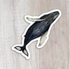 Humpback Whale Sticker