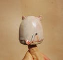 Salero gatito