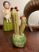 Image of Cactus in Green Planter