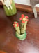 Image of Cactus in Green Planter