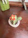 Image of Cactus in Blush Planter