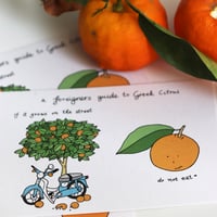 Image 2 of A Foreigners Guide to Greek Citrus - Postcard