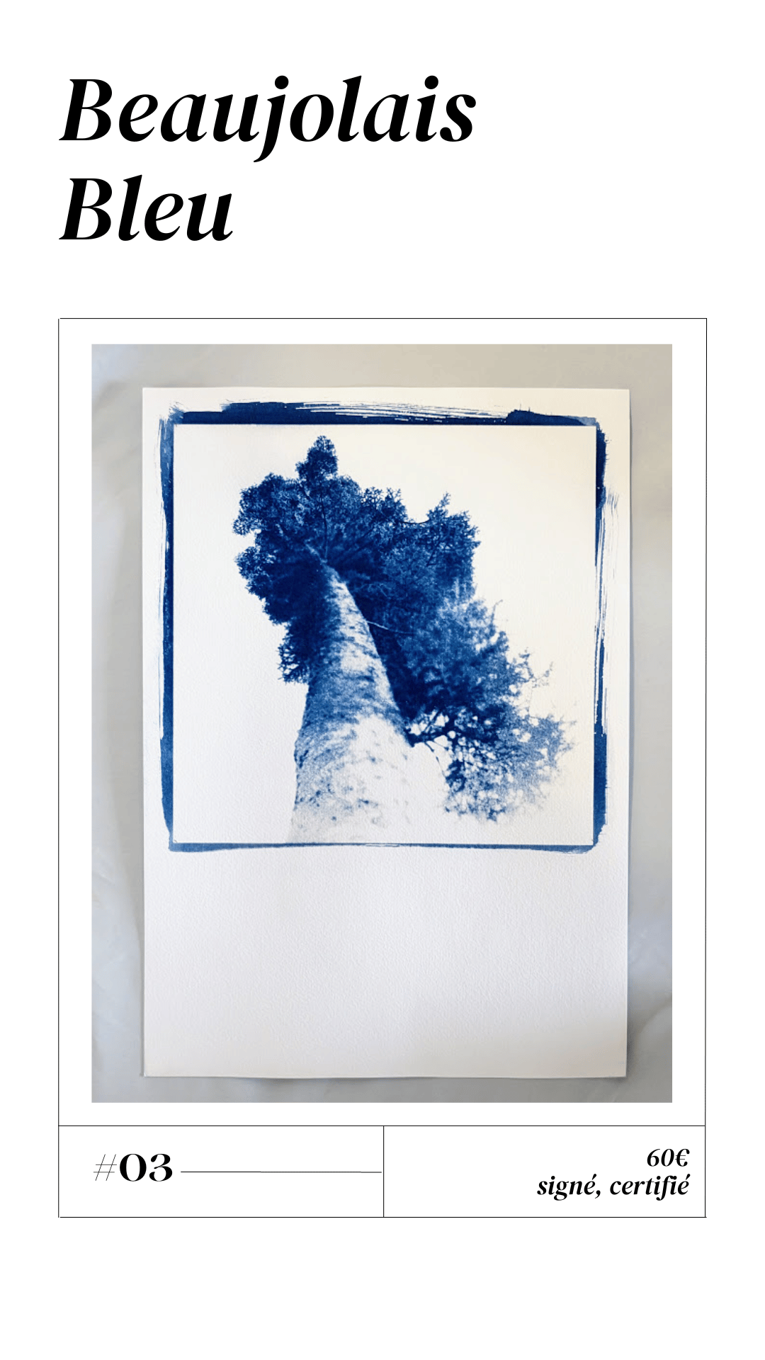 Image of Beaujolais Bleu n°3