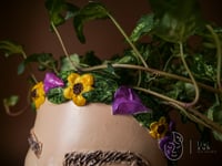 Image 4 of COMMISSION ARTWORK Quirky plant pot with face Gosia