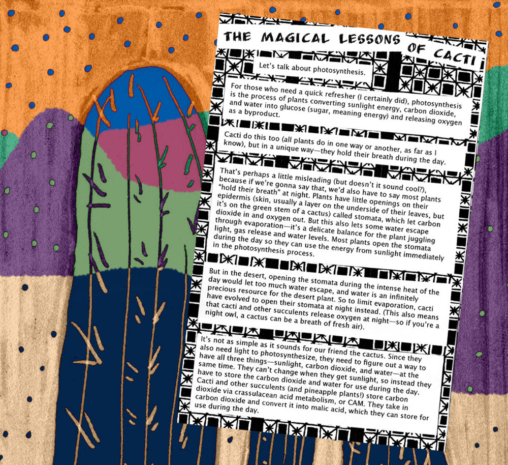 Image of Cactus Juice: A magical love letter to the American Southwest