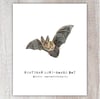 Northern Long-Eared Bat 