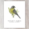 Kirtland's Warbler