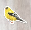 Goldfinch Sticker