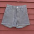 Trestle Shorts Image 2