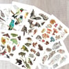 Captivating Critters Card Pack