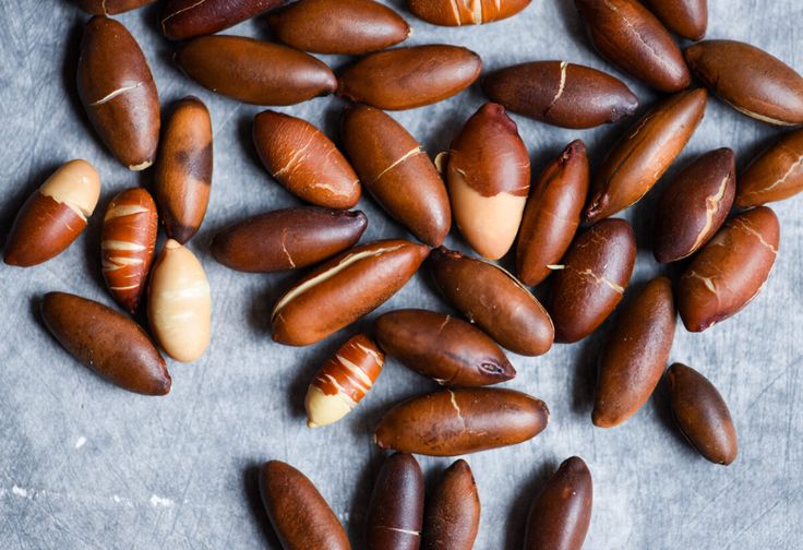 ORIGINAL-WILD Sri Lankan Sea Almonds Seeds. WILD PeaNOTS! Roasted Brazilian Baru Legume Seeds.