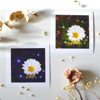 Image 3 of Daisy day and night print