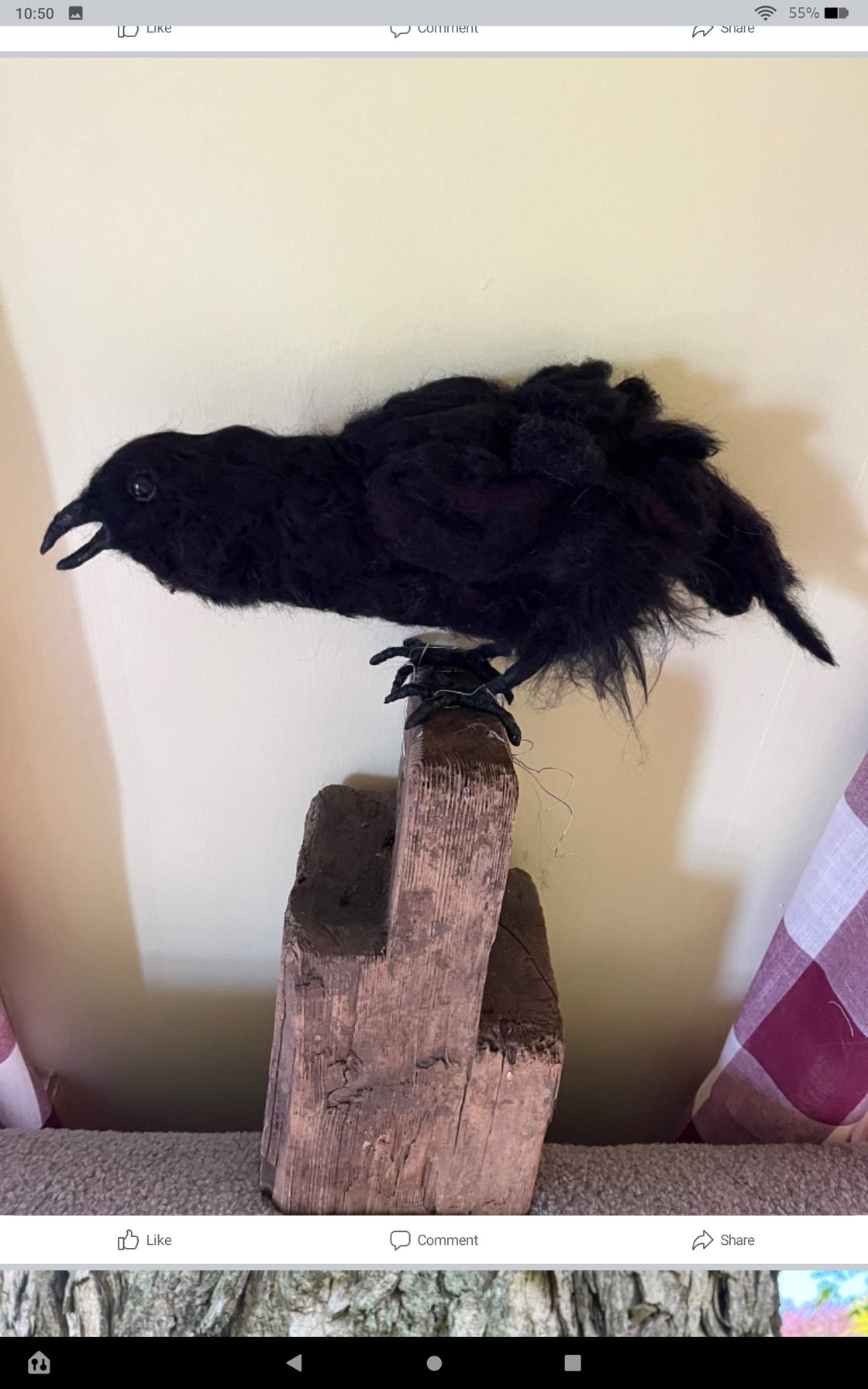 Image of Raven