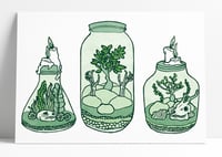 Terrarium print