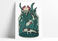 Axolotl print