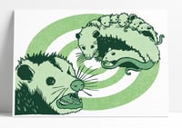 Possum print