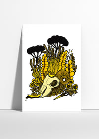 Sheep Skull print