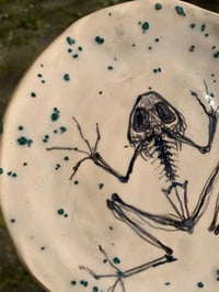 Image 2 of frog skeleton plate