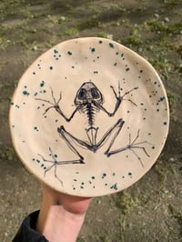 Image 1 of frog skeleton plate