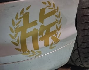 Image of [DECAL] PALMZOKU 