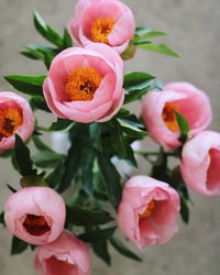 Image 1 of Floral Fundamentals Workshop :: ROMANCED BY PEONIES June 5th