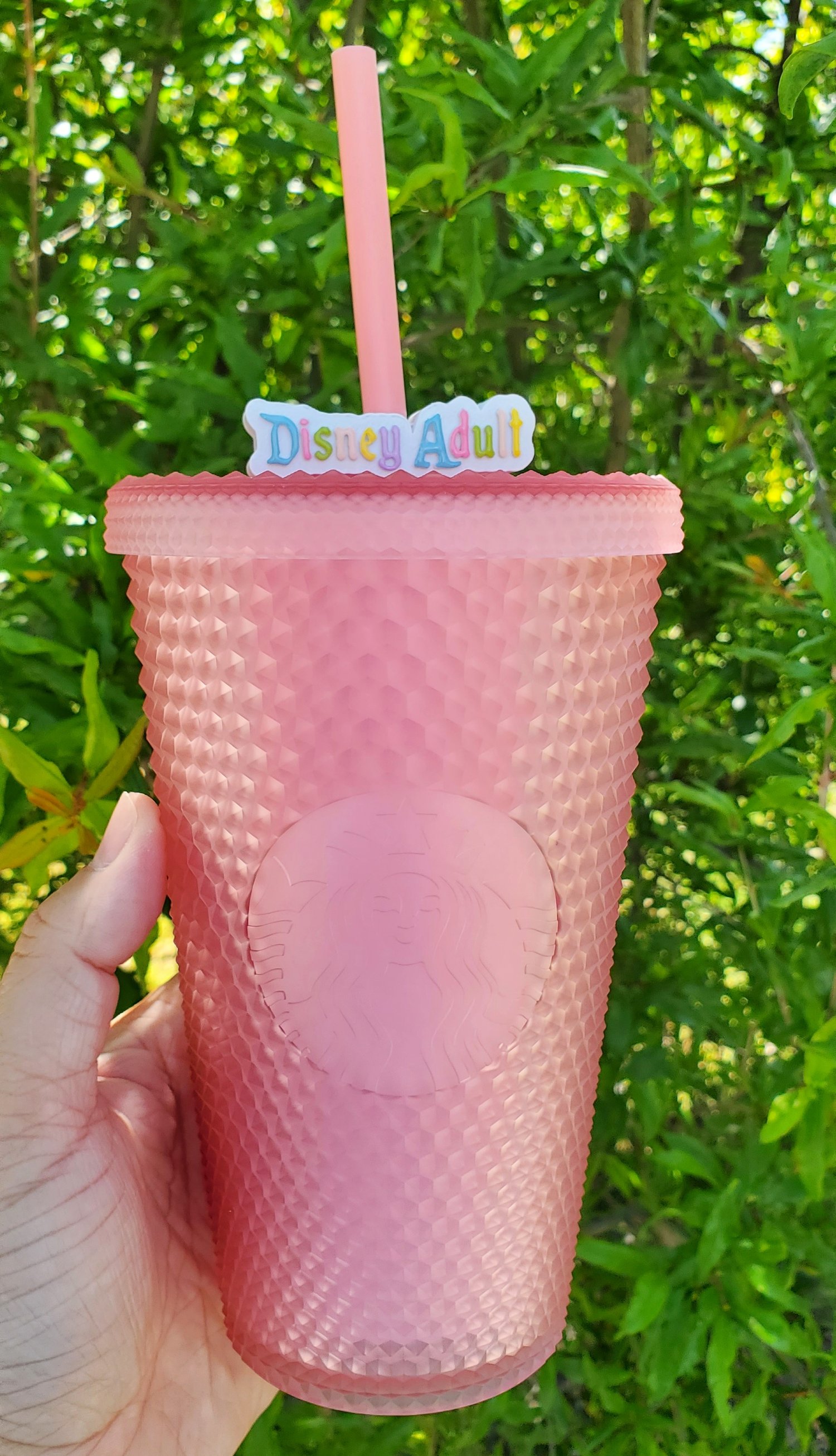 Disney Adult Straw Topper