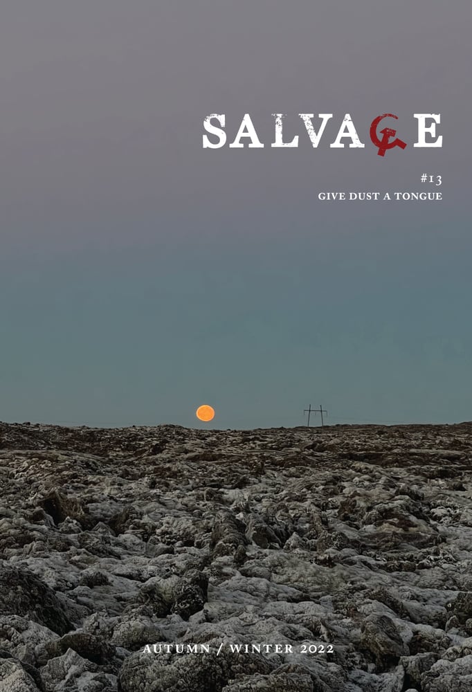 Image of NORTH AMERICA ONLY Salvage #13: Give Dust a Tongue