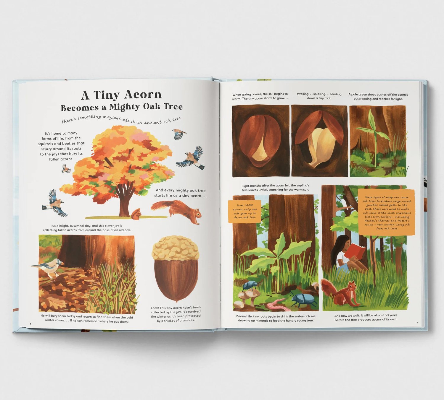 Image of Nature in a Nutshell (signed copy)