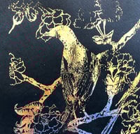 Image 4 of Two for Joy