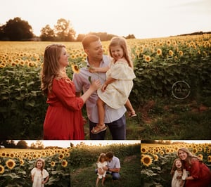 Image of Sunflower Mini Sessions 