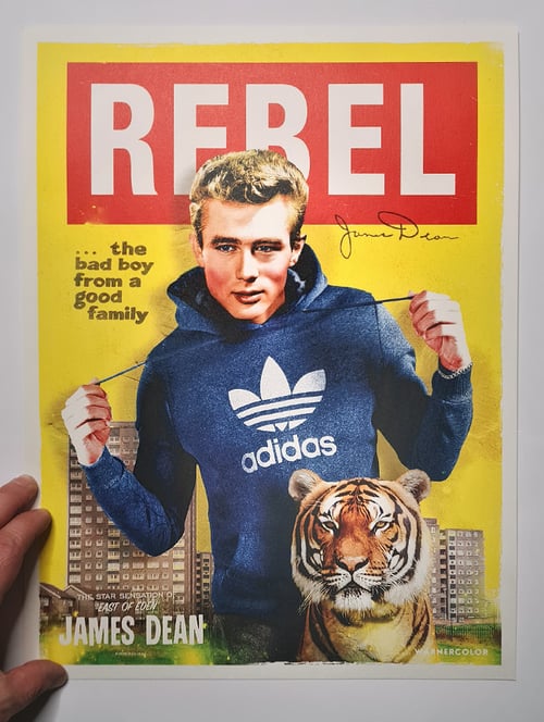 Image of Rebel without a Care