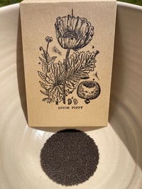 Image 2 of poppy seeds (Papavar Somniferum)