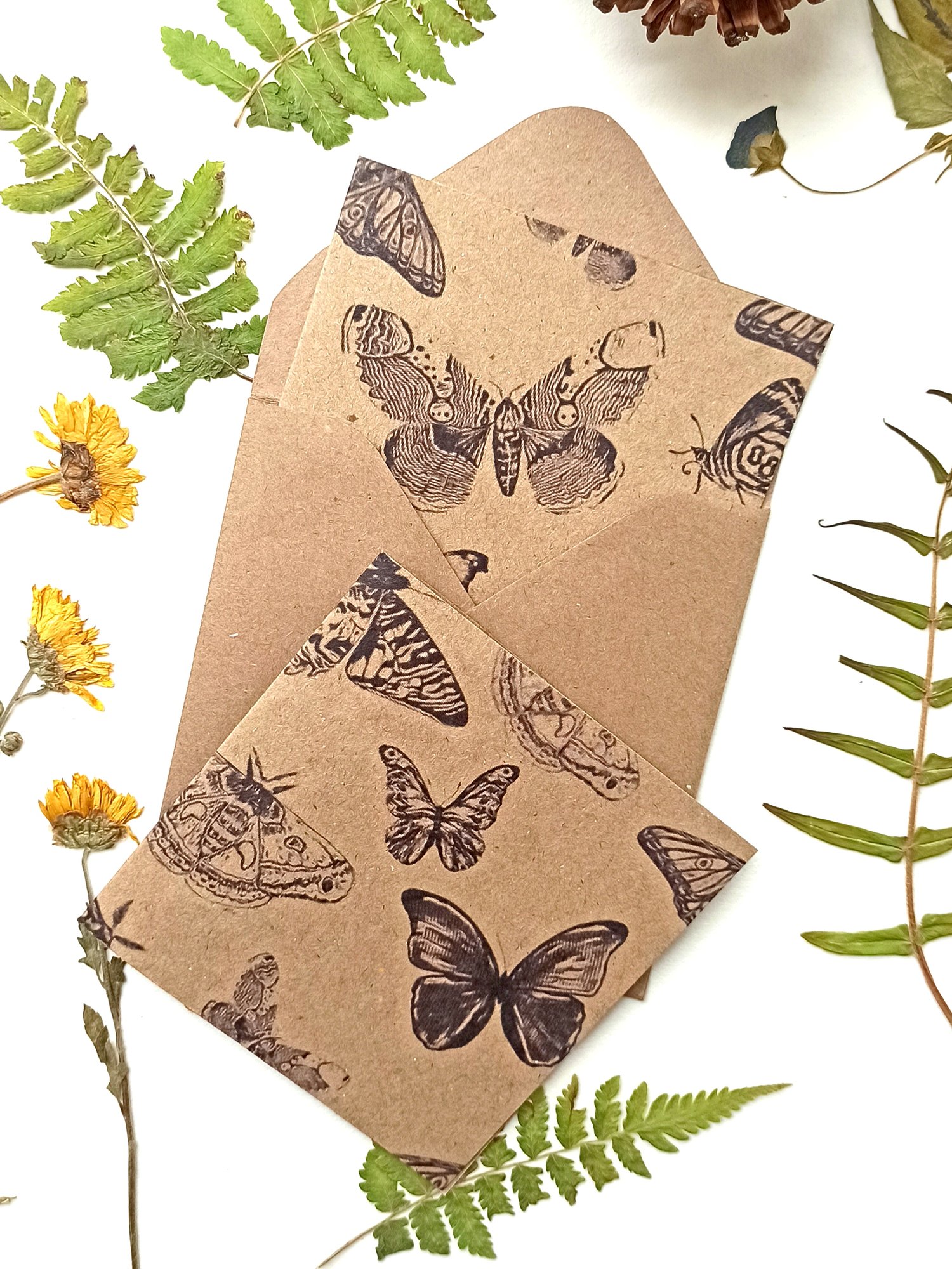 Image of Butterfly Greeting card 