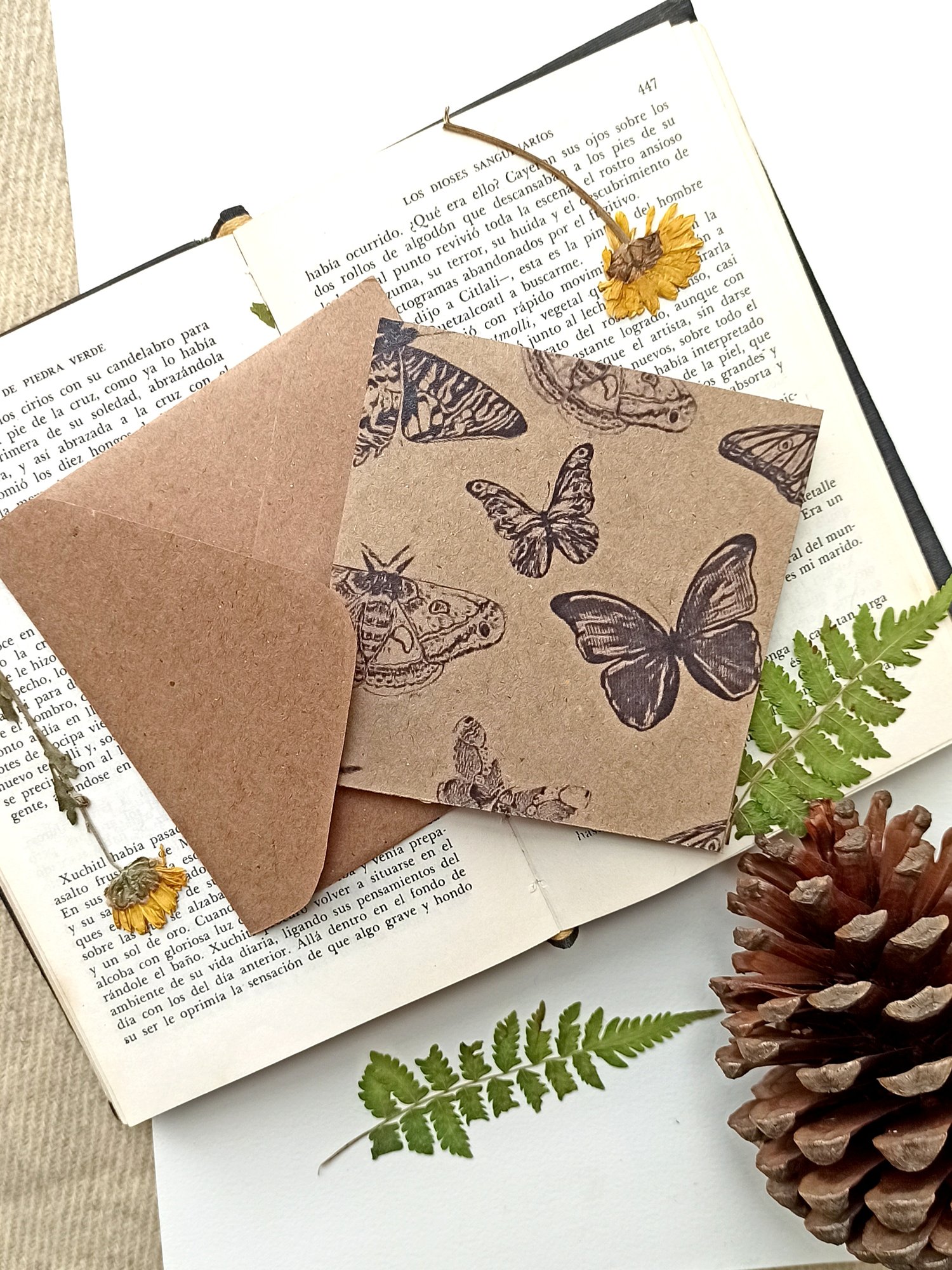 Image of Butterfly Greeting Cards Bundle