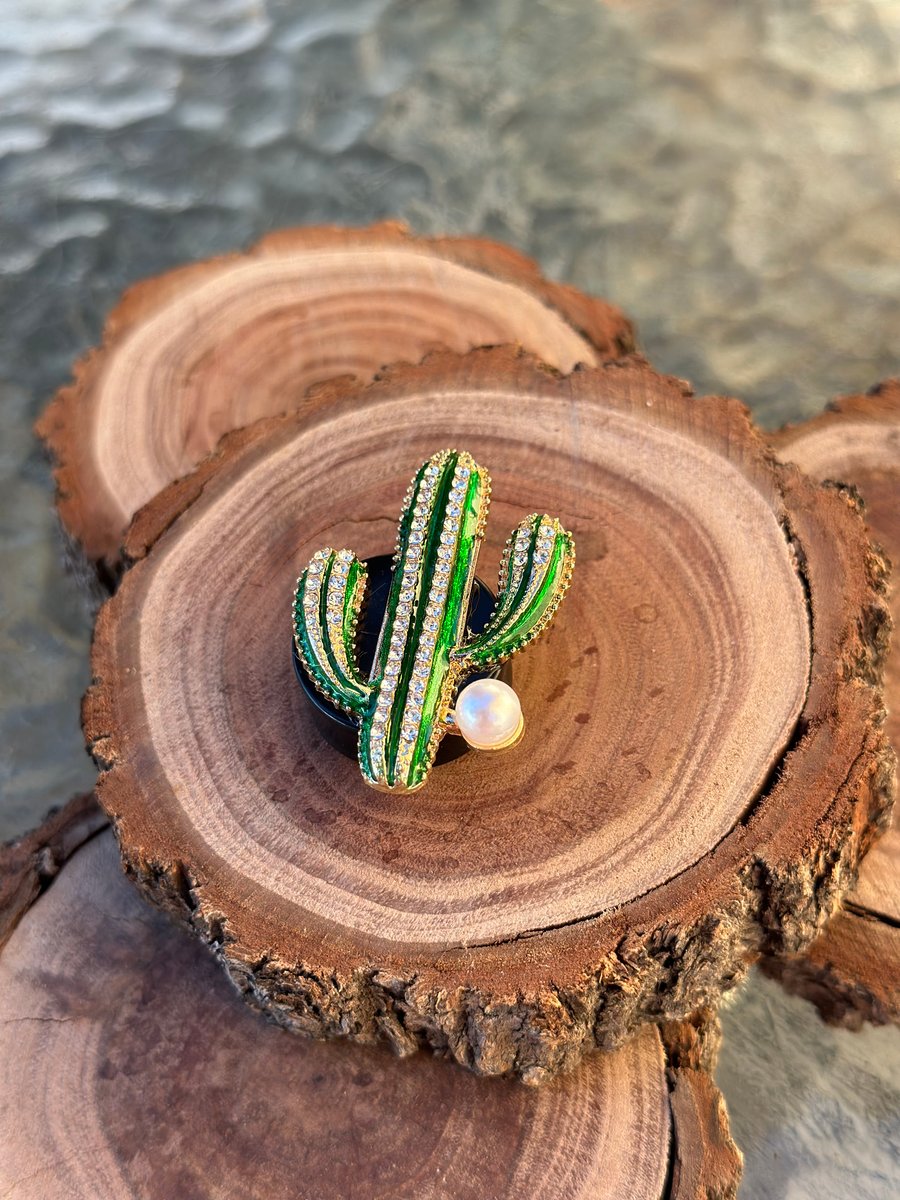 Image of cactus car air freshener 