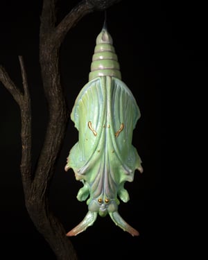 Pupa Sculpture 1