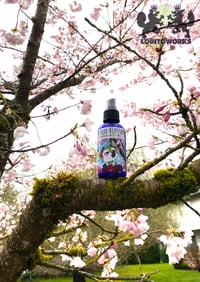 Image 2 of Bishoujo Blossom - 4 oz Fursuit Spray, cherry blossom scent