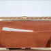 Image of Vtg. Gucci Tan Evening Clutch