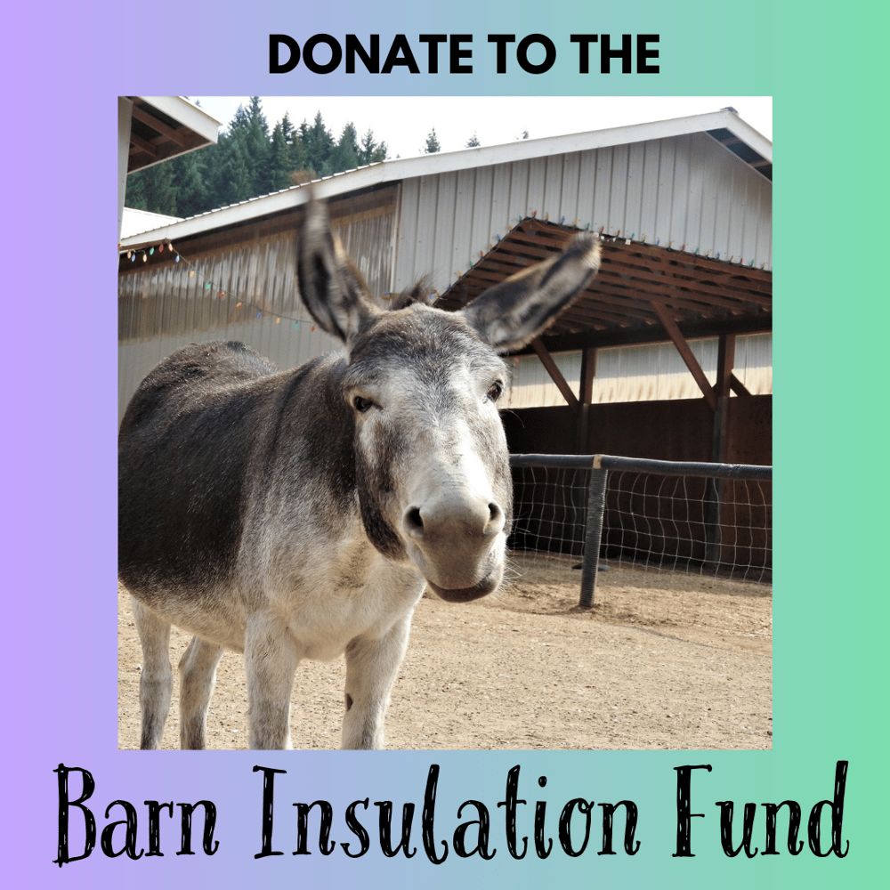 Image of Donate - Barn Insulation Fund