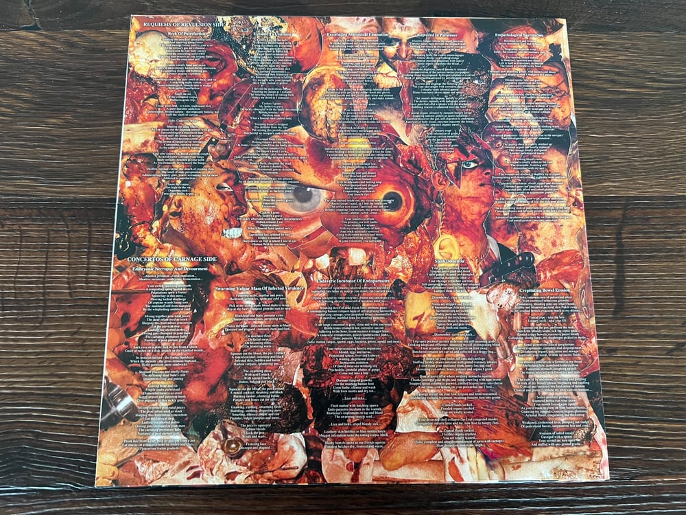 Carcass - Symphonies Of Sickness FDR Remaster Earache Vinyl