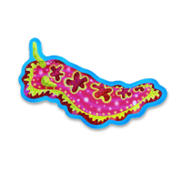 Sparkly Sea Slug Sticker