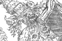 Image 2 of Ego sum Wappla / Kunstdruck