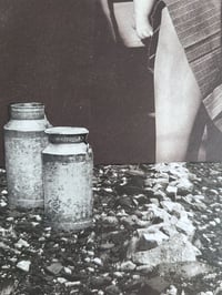 Image 5 of 'Milk Bar'