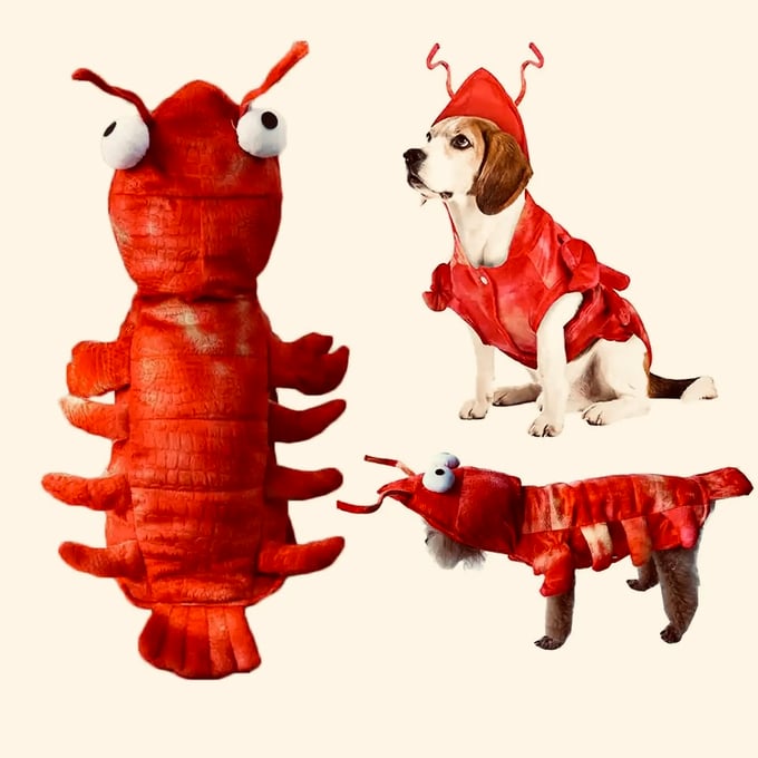 Image of The Lobster 
