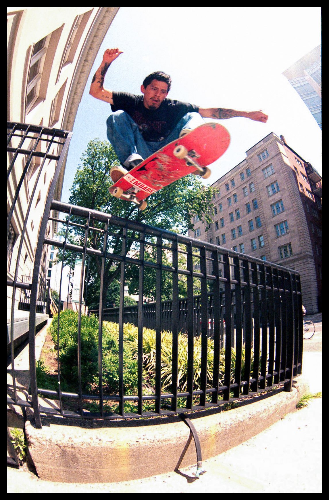 Nashua Rosales - Ollie 